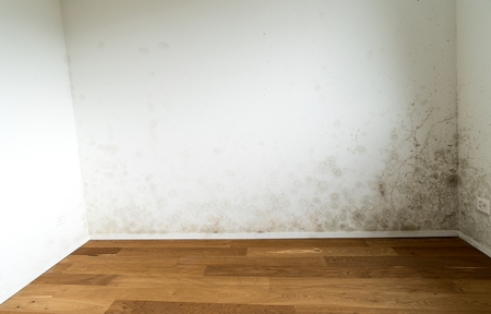 순창 주택 아파트 공장 결로검사 결로공사 시공업체M