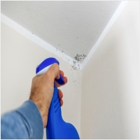 순창 주택 아파트 공장 결로검사 결로공사 시공업체-6106328