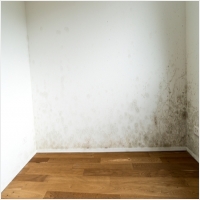 순창 주택 아파트 공장 결로검사 결로공사 시공업체-6106330